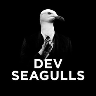 Логотип канала dev_seagulls_channel