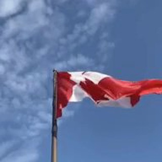 Логотип drivecanada