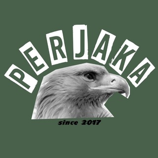 Логотип канала perjakasq