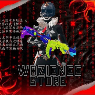 Логотип канала wazienestore