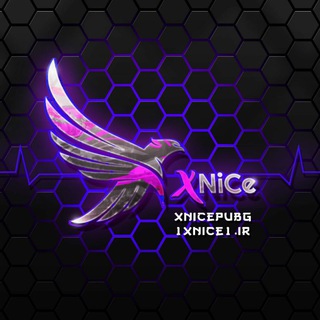 Логотип xnicepubg