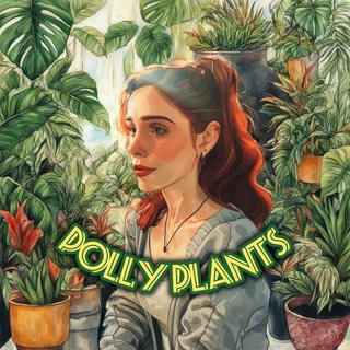 Логотип канала pollyplantss