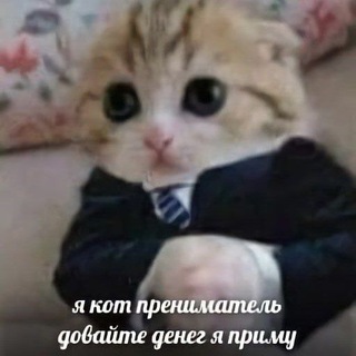 Логотип канала chatcsstavki