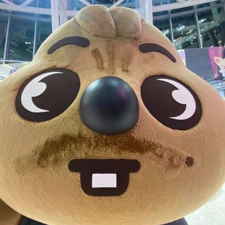 Логотип official_toca