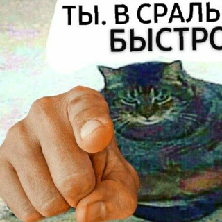 Логотип канала today_i_stole_some_memes