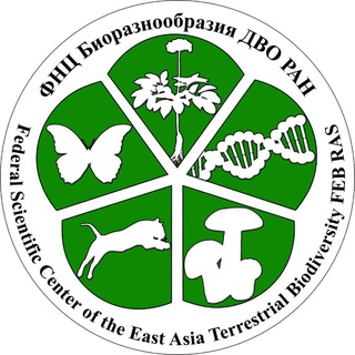 Логотип канала fsc_biosoil