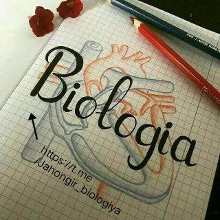 Логотип канала jahongir_biologiya