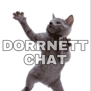 Логотип канала dorrnettchat