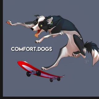 Логотип канала comfortsdogs