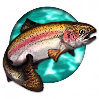 Логотип forel96