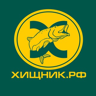 Логотип канала hishnik_online