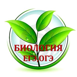 Логотип канала idbiorepetitor