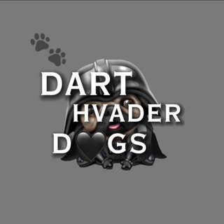 Логотип канала darthvaderdogs