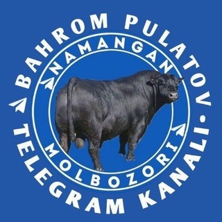 Логотип канала namangan_molbozori_1