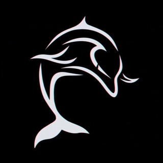 Логотип канала dolphinproject