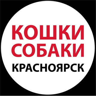 Логотип канала koshkisobakimoi