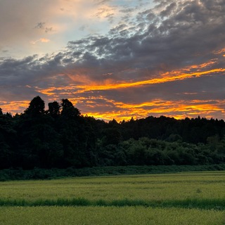 Логотип канала japanseasons