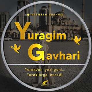 Логотип канала yuragim_gavhari