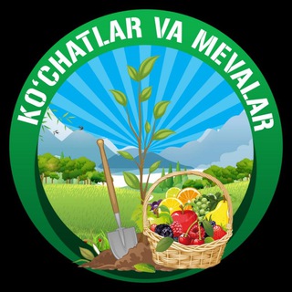 Логотип канала kochatlar_olami