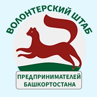 Логотип канала bashvolonterufa