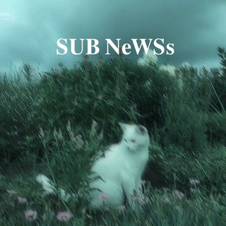 Логотип sub_newss