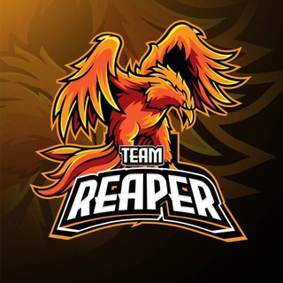 Логотип канала teamreaperx