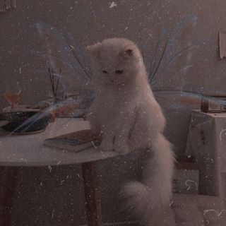 Логотип канала k1tty_speedsongs