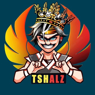 Логотип tshalz2