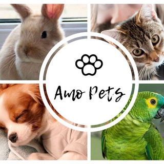 Логотип канала amopets