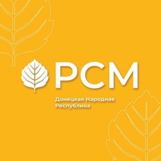 Логотип канала rsm_dpr