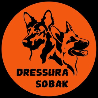 Логотип dressura_sobak