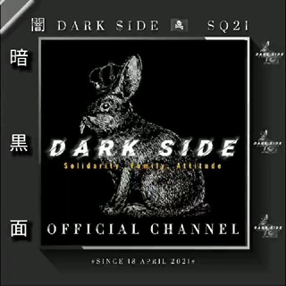 Логотип канала ofcdarkside21