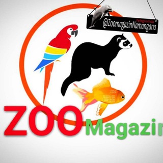 Логотип zoogroup