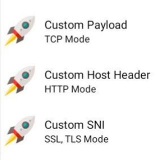 Логотип custom_sni