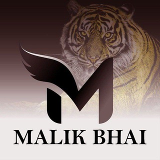 Логотип Malik_bhai_tiger_original_tips