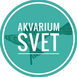 Логотип akvarium_svet