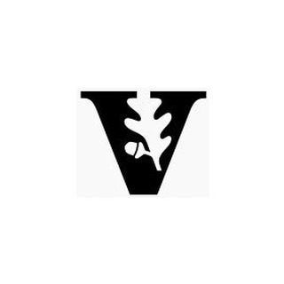 Логотип ChatVirtualBot