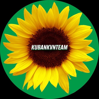 Логотип канала kubankvnteam