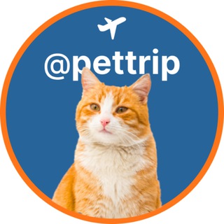 Логотип канала pettrip_menu