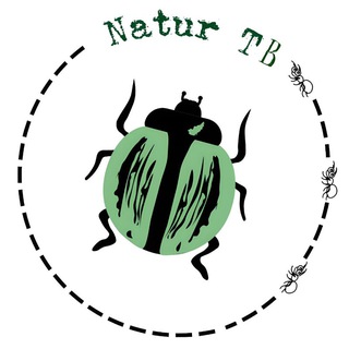 Логотип naturetd