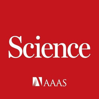 Логотип канала science_magazine