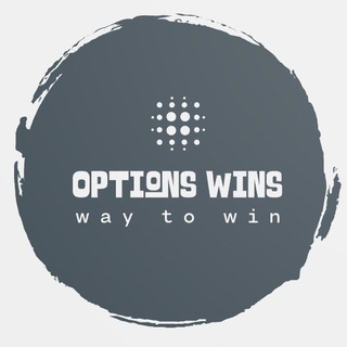 Логотип option_wins