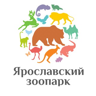 Логотип канала yaroslavlzoo