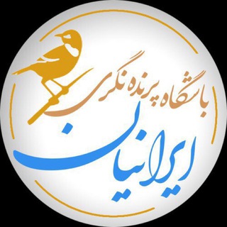 Логотип канала iranianbirdingclub