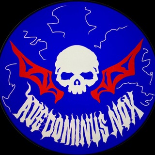 Логотип канала insomniadays