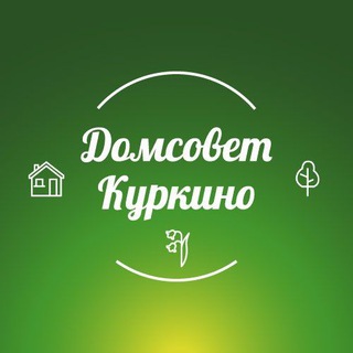 Логотип канала domsovet_kurkino