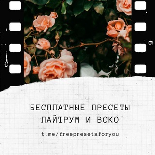 Логотип канала freepresetsforyou