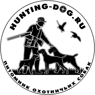 Логотип канала hunting_dogru