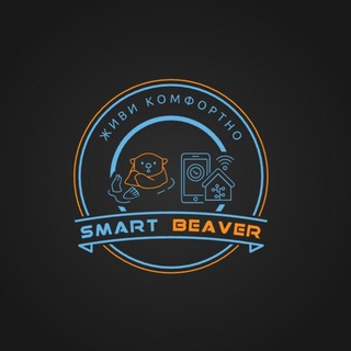 Логотип канала smart_beaver_market