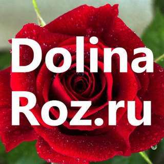 Логотип канала dolinaroz_23